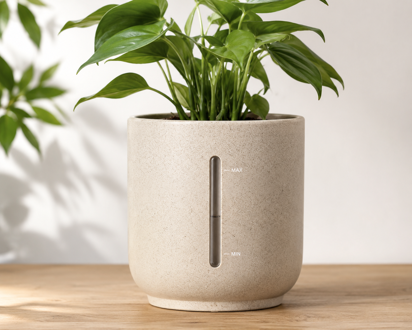 Terravé Starter S – Sage Green